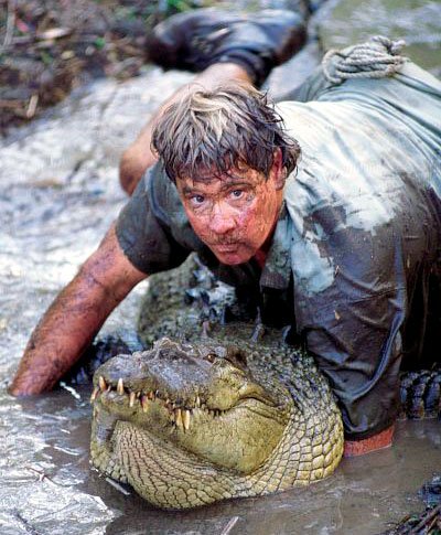 Image result for australian wrestling crocodile
